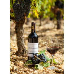 Coteaux du Languedoc Les Boissières 2016 Chabanon