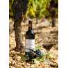 Coteaux du Languedoc Les Boissières 2016 Chabanon