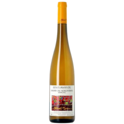 Riesling Grand Cru Schlossberg 2018 Albert Mann