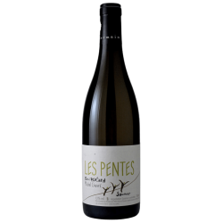 Saumur blanc Les Pentes 2020 Clos de l'Ecotard