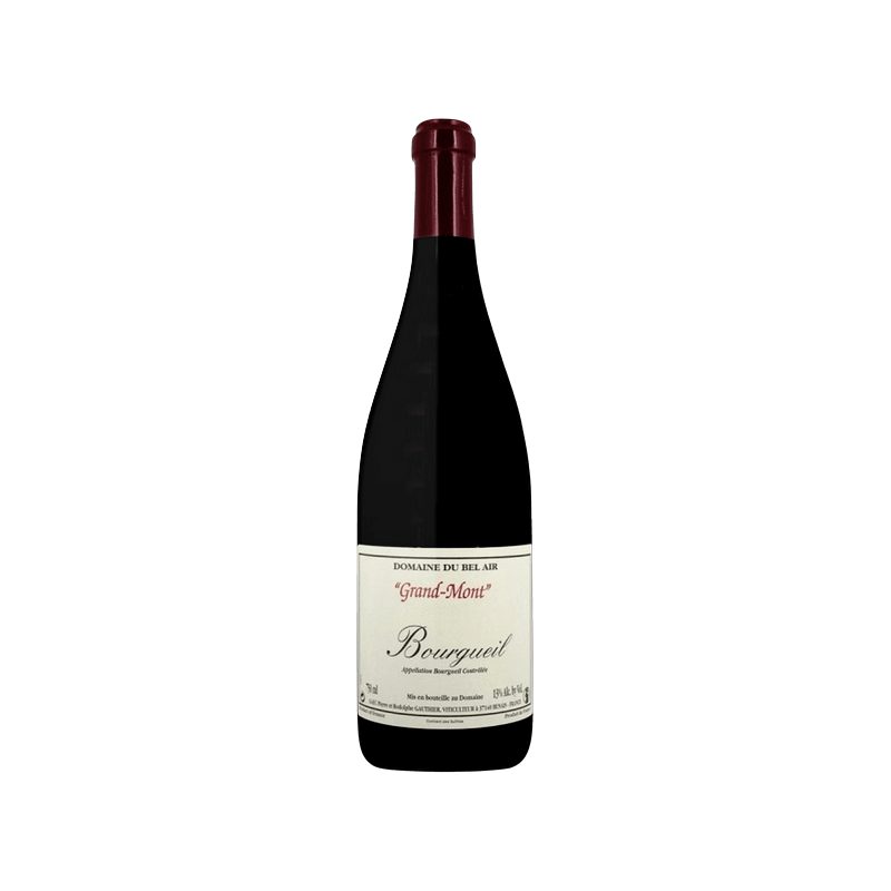 Bourgueil Grand Mont 2018 Gauthier