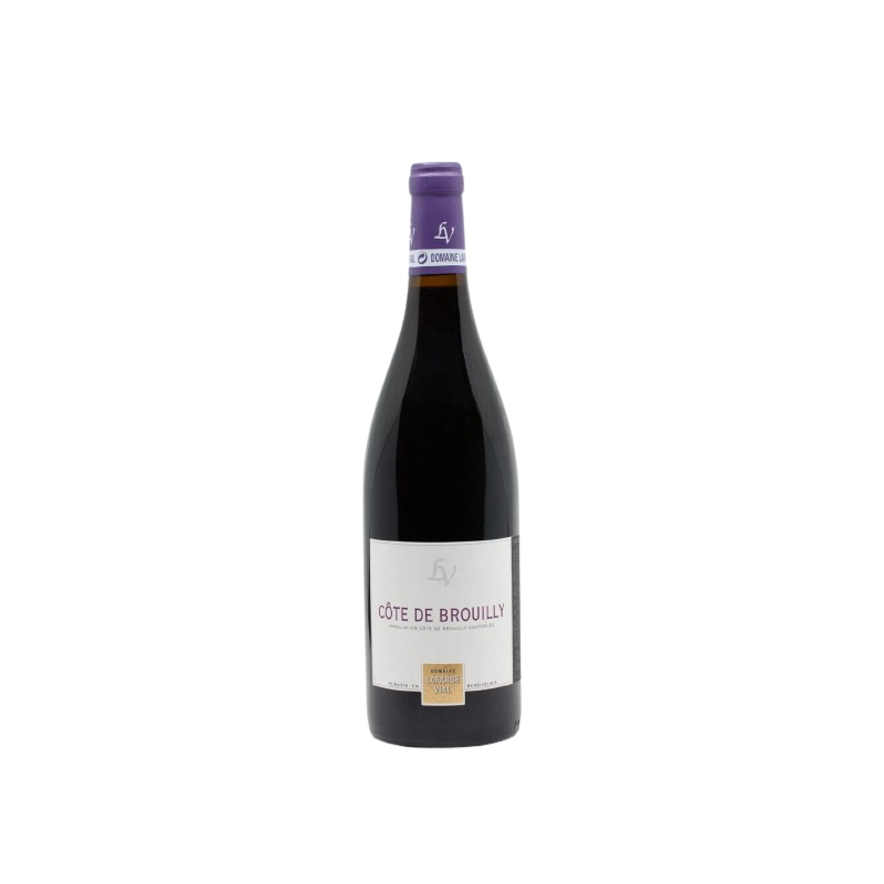 Côtes de Brouilly 2020 Domaine Lafarge Vial