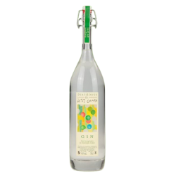 Gin aux agrumes Distillerie du Petit Grain 47° (50 cl)
