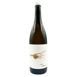Vin de France Long Courrier 2022 Laura Aillaud