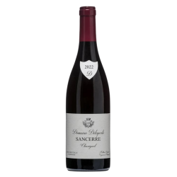 Sancerre rouge Chavignol 2022 Matthieu Delaporte