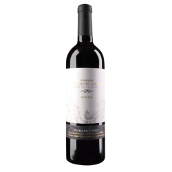 Madiran Cuvée Vieilles vignes 2019 Christine Dupuy