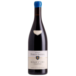Rully 1er cru Chapître 2021 Dureuil-Janthial