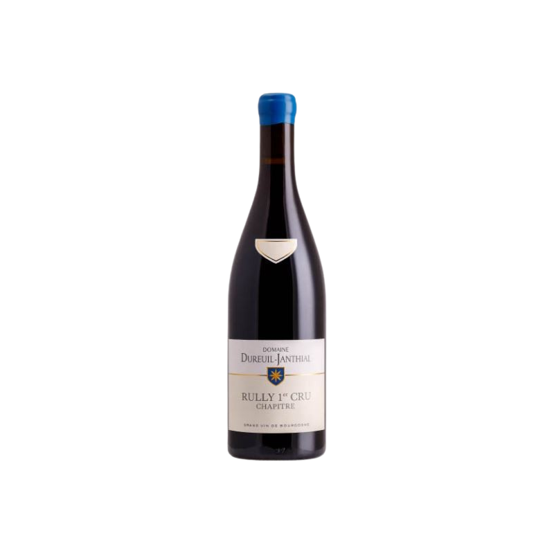 Rully 1er cru Chapître 2021 Dureuil-Janthial