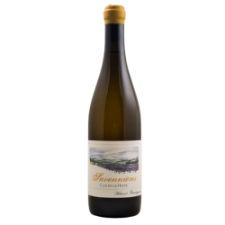 Savennières Clos de la Hutte 2021 Thibaud Boudignon