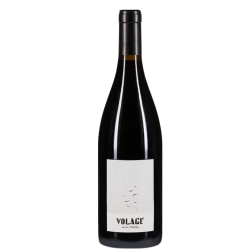 Saumur-Champigny Volage 2023 Clos Maurice