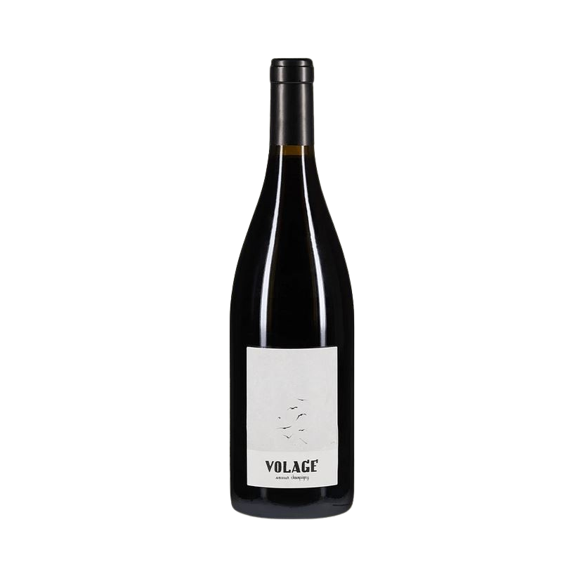 Saumur-Champigny Volage 2023 Clos Maurice