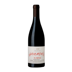 Saumur rouge 2022 Clos de l'Ecotard