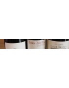 Languedoc Roussillon
