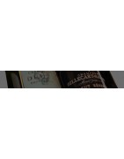 Champagne brut