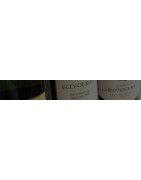 Champagne Millésimé